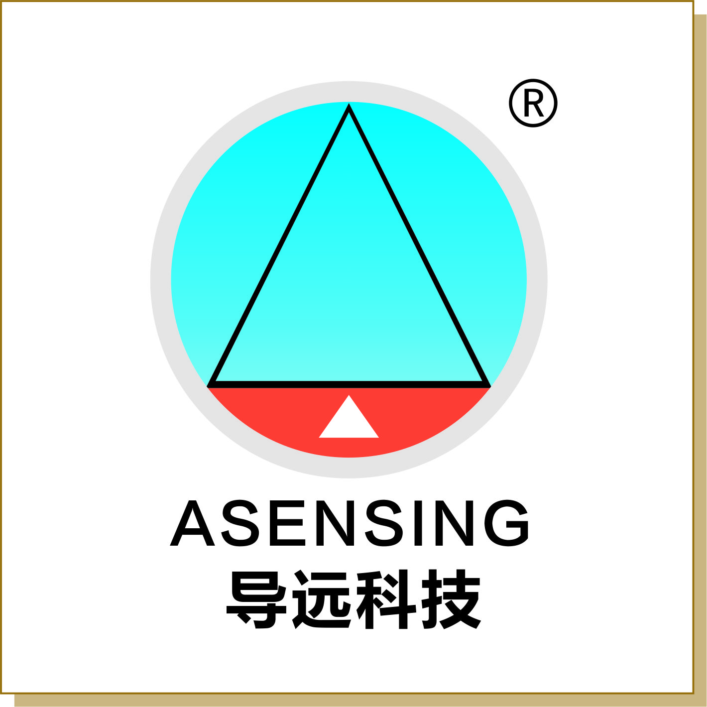導遠科技