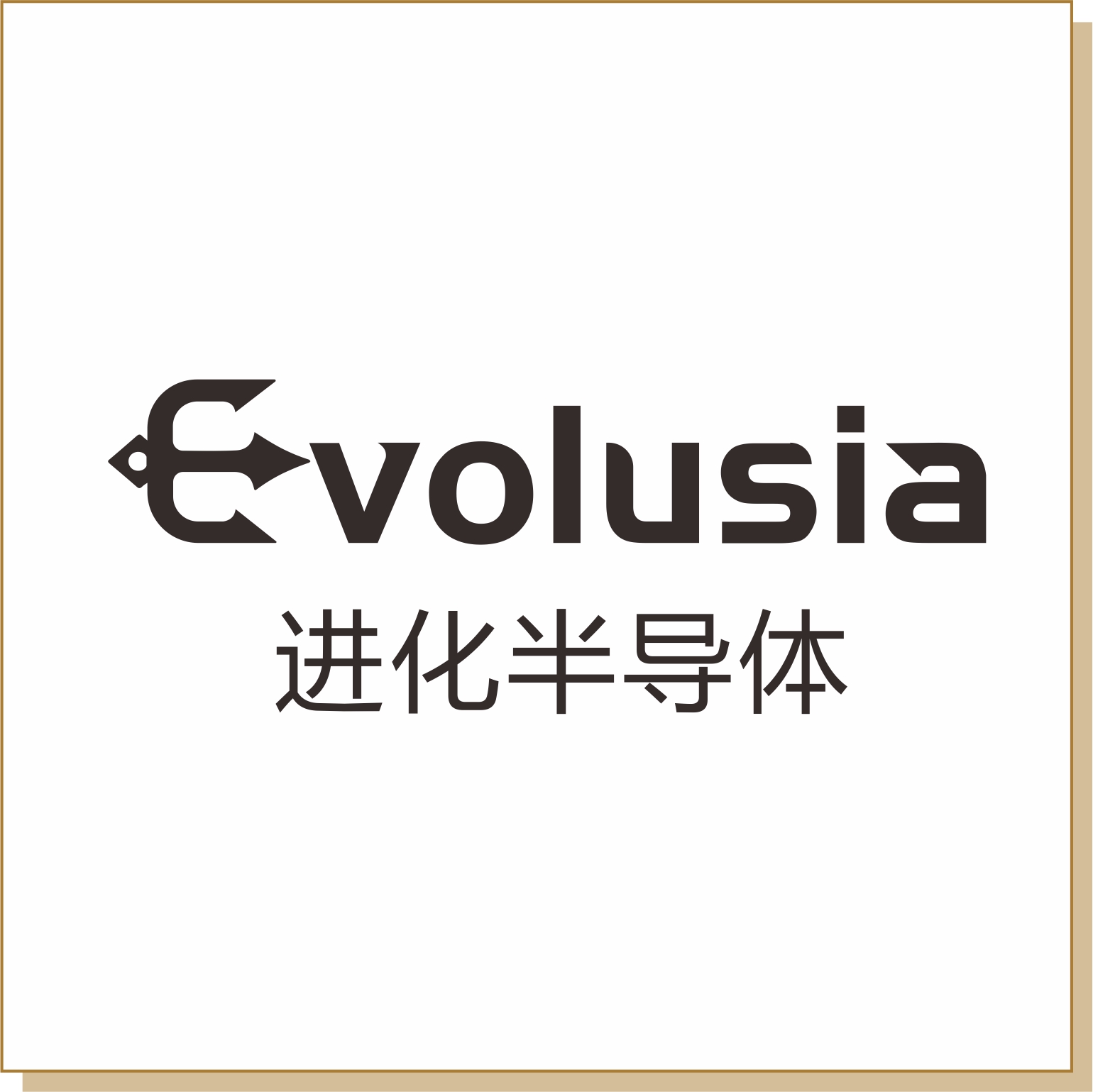 進化半導體